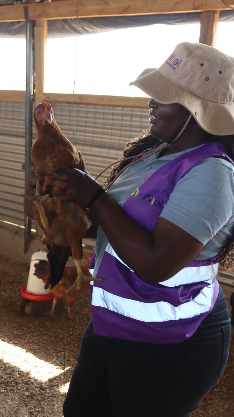 How Livelihood Work Becomes Dignity in Practice